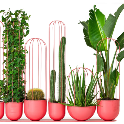cacti-planter-plant-pot-nola-industrier-366014-relf54c181a.jpg
